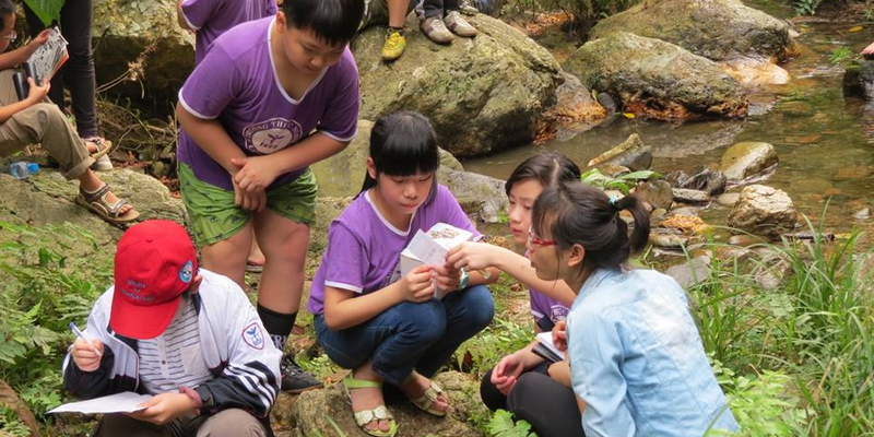 cac-chuong-trinh-nang-cao-chat-luong-giao-duc_800