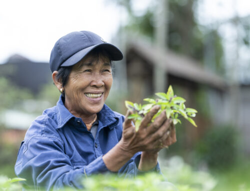 Quản lý chất thải toàn diện tại Đà Nẵng